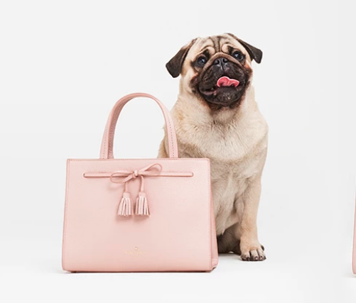 Kate Spade, Sam Collection, Pug