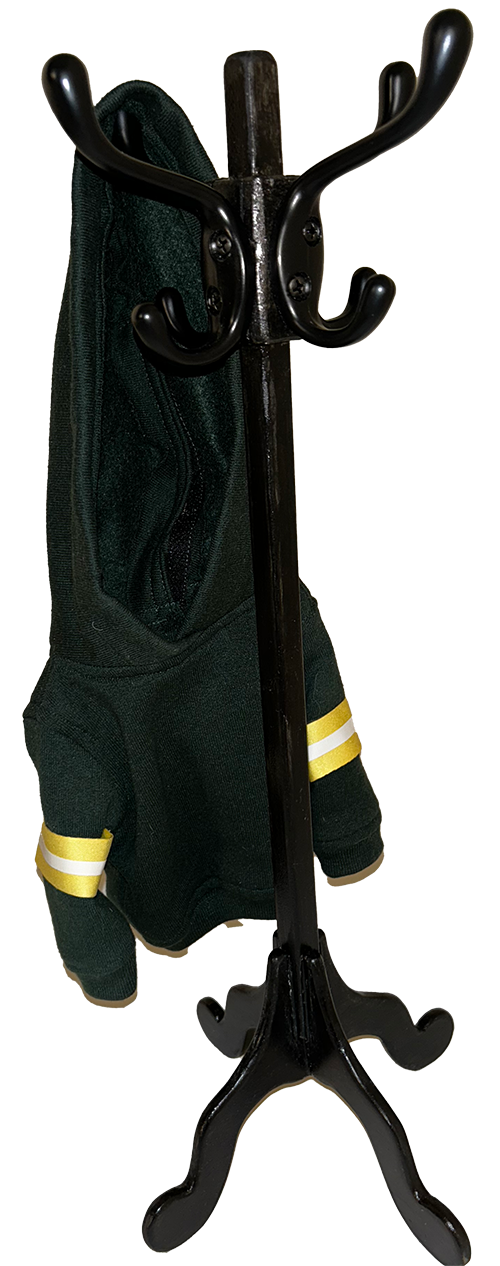 green and gold hooded sweatshirt